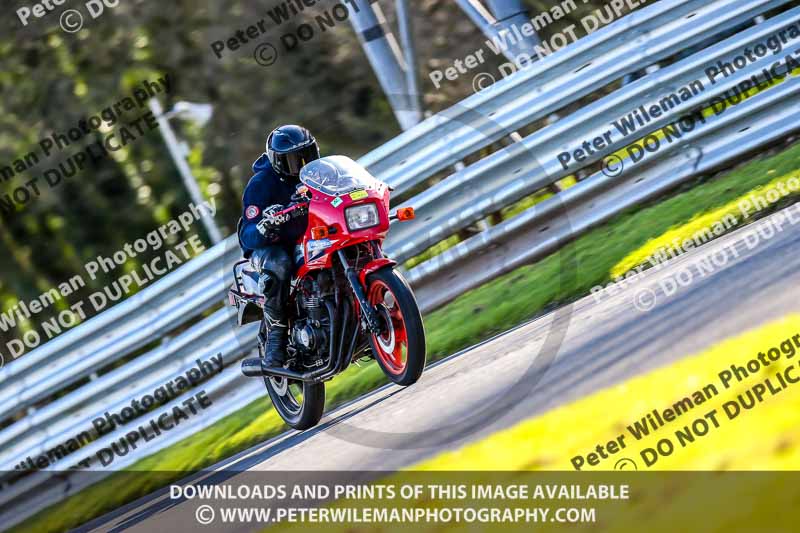 Oulton Park 20th March 2020;PJ Motorsport Photography 2020;anglesey;brands hatch;cadwell park;croft;donington park;enduro digital images;event digital images;eventdigitalimages;mallory;no limits;oulton park;peter wileman photography;racing digital images;silverstone;snetterton;trackday digital images;trackday photos;vmcc banbury run;welsh 2 day enduro